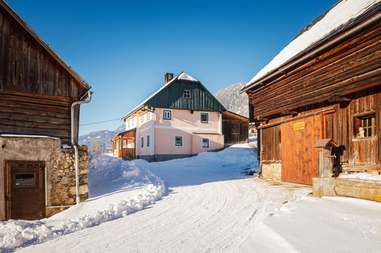Ferienhaus Schwoellerbauer Sankt Martin am Grimming 외부 사진
