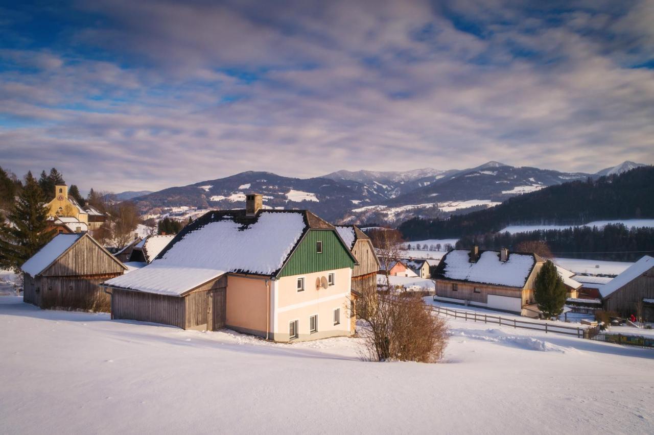 Ferienhaus Schwoellerbauer Sankt Martin am Grimming 외부 사진
